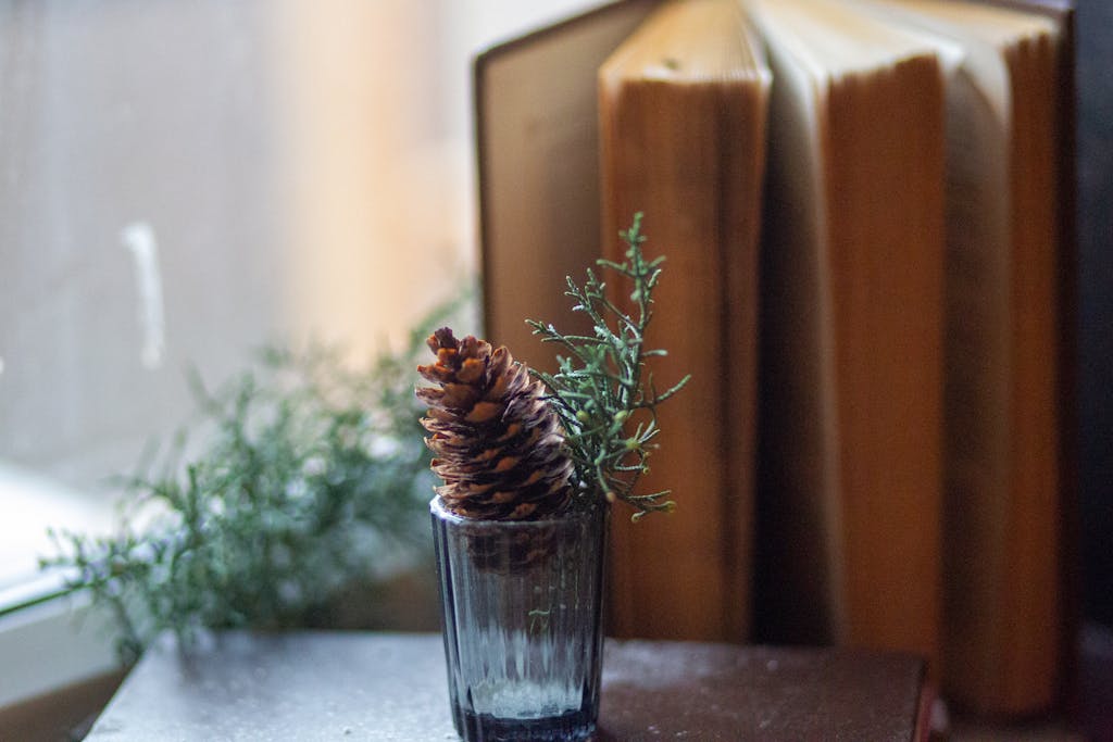 A pinecone and twig in a glass placed next to a stack of books by a window.